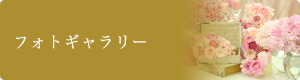 フォトギャラリー